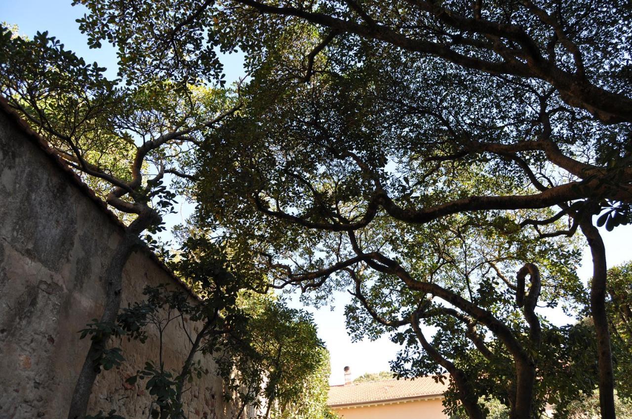 מרינה די פיזה Villa Salvini מראה חיצוני תמונה